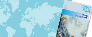Grandtex Corporate Profile